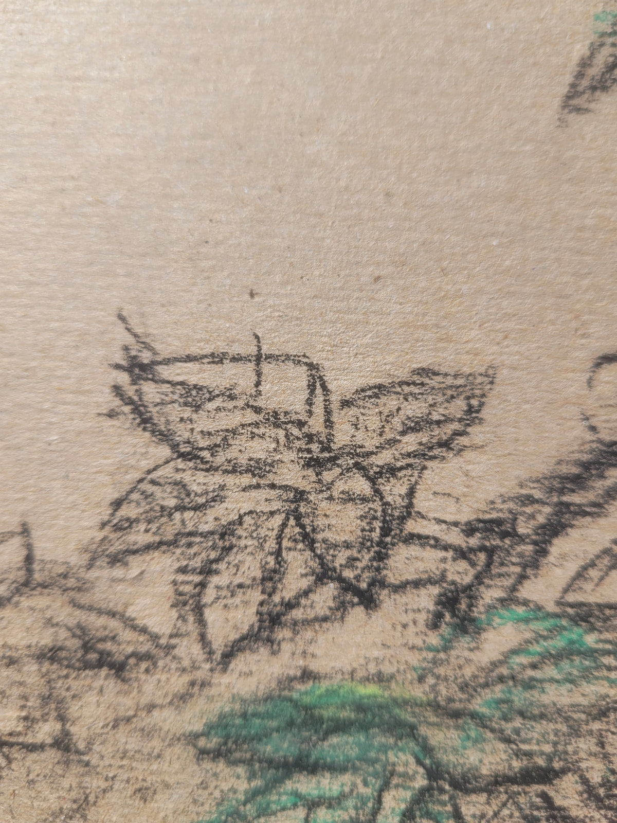 Grape Sketch