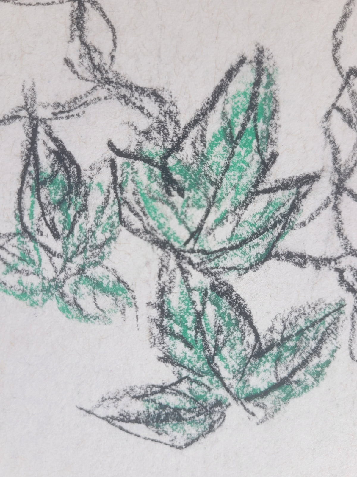 Morning Glory & Bee Sketch with signature