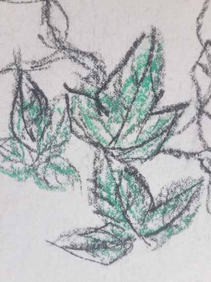 Morning Glory & Bee Sketch with signature