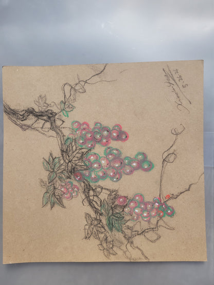 Grape Sketch
