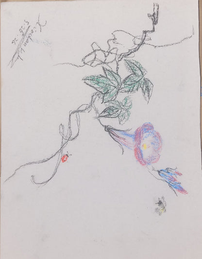 Morning Glory & Bee Sketch with signature