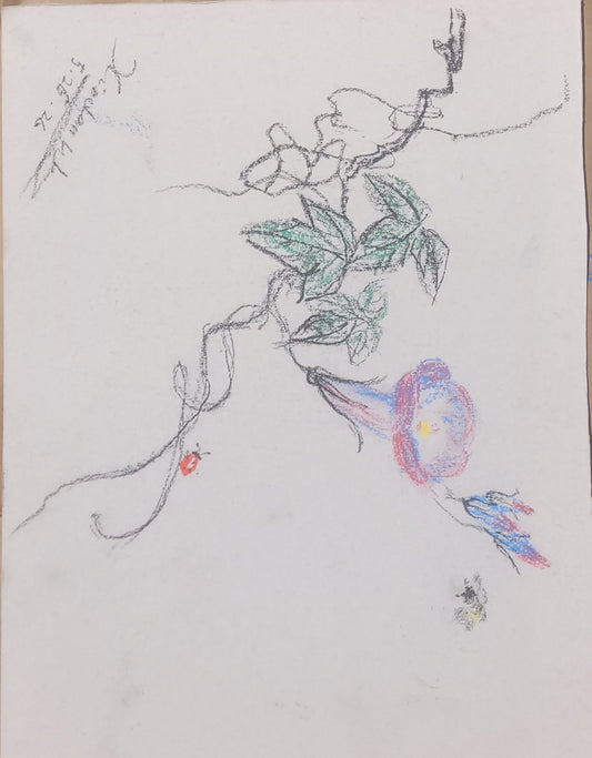 Morning Glory & Bee Sketch with signature