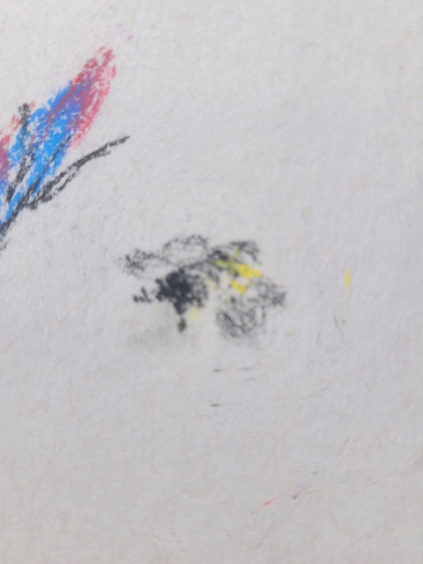 Morning Glory & Bee Sketch with signature
