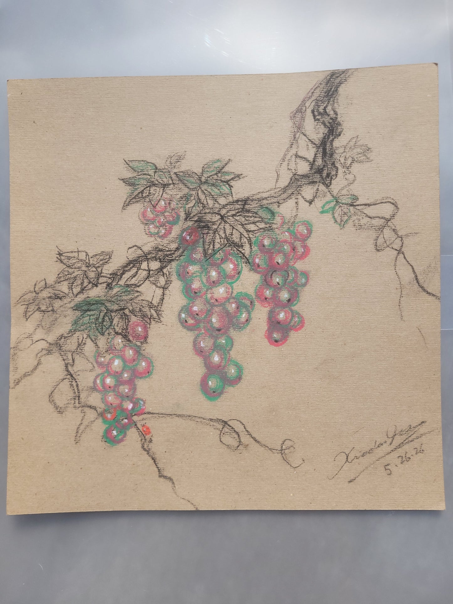 Grape Sketch