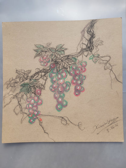 Grape Sketch