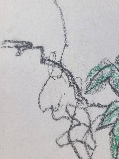 Morning Glory & Bee Sketch with signature