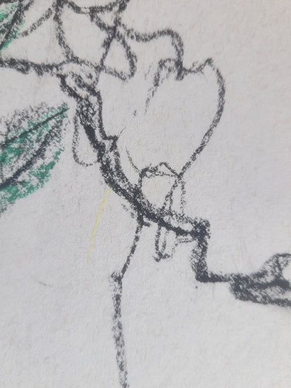 Morning Glory & Bee Sketch with signature