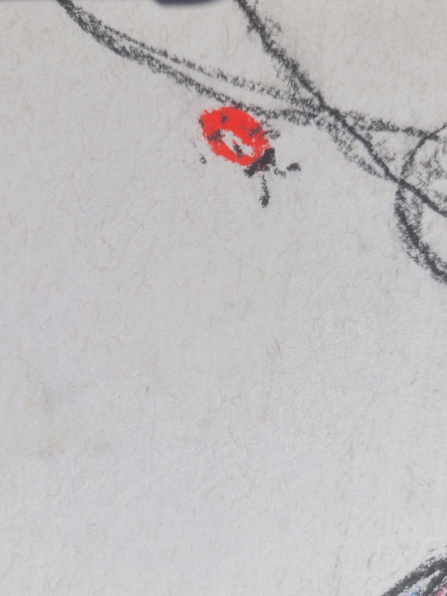 Morning Glory & Bee Sketch with signature