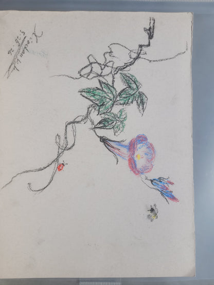 Morning Glory & Bee Sketch with signature